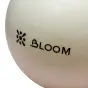 картинка Мяч LiveUp LB7000 для пилатеса 20 см 