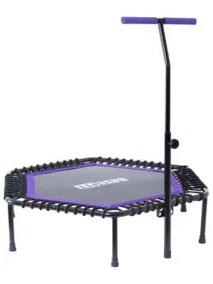 картинка Батут Basefit TR-401 101 см с держателем фиолетовый 